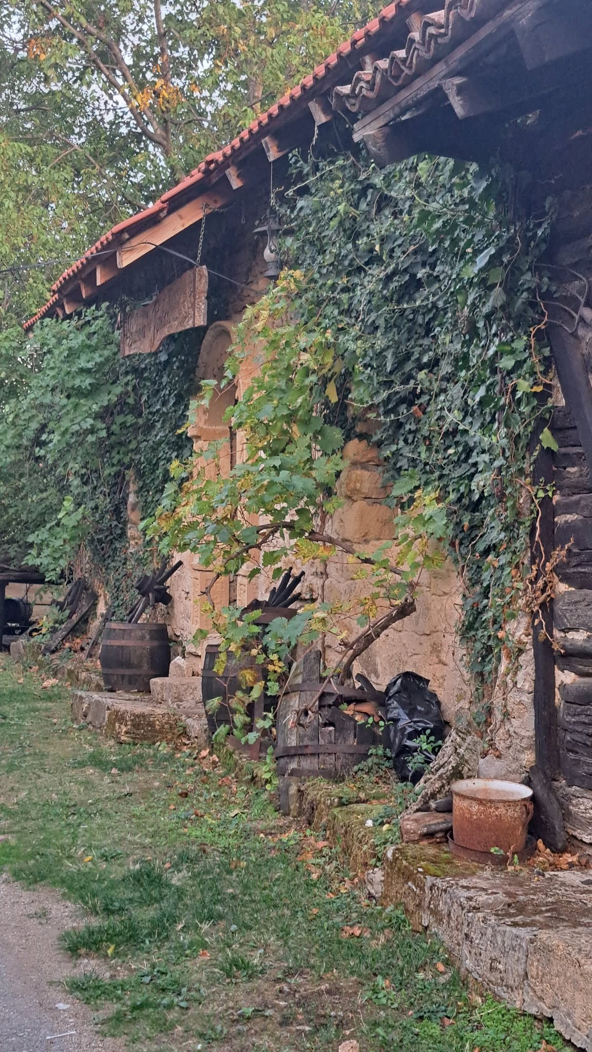 Međunarodni dan žena sa sela u Rogljevačkim pivnicama